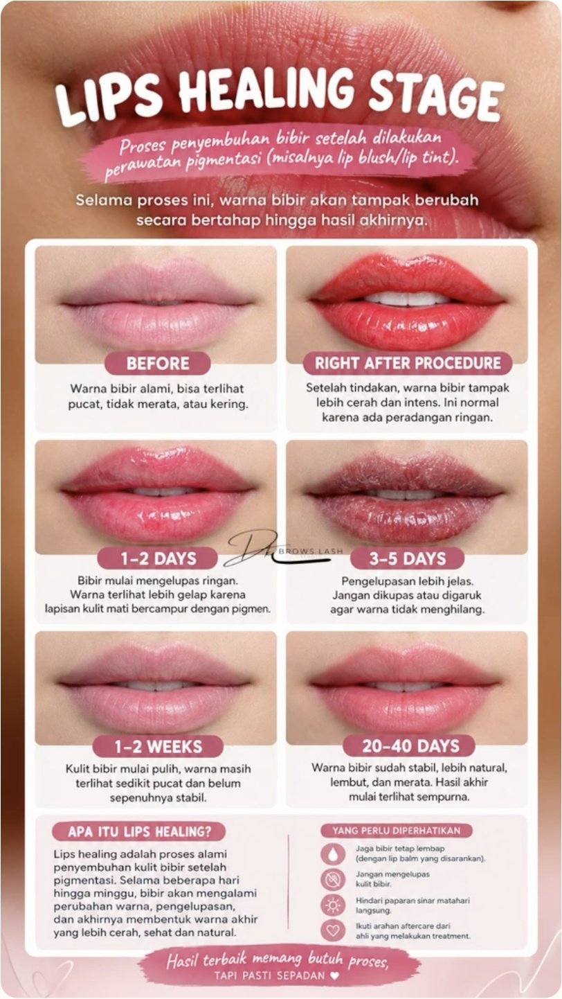 Poster tahapan sulam bibir: sebelum tindakan, setelah tindakan, pengelupasan, dan perkembangan warna